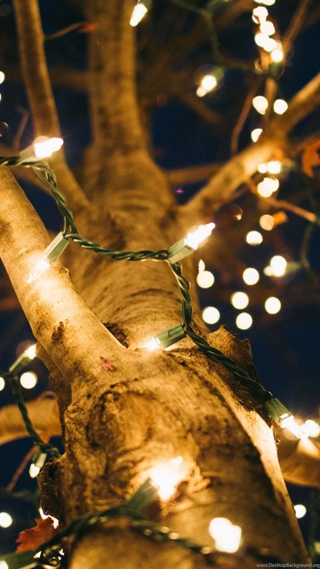 iPhone 5 Christmas Wallpapers — Shawn Blanc