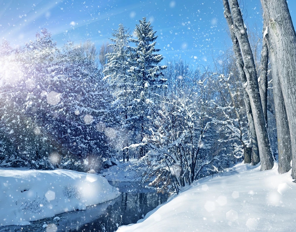 Nature Sky Trees Landscape Winter Bokeh Christmas Wallpapers ...