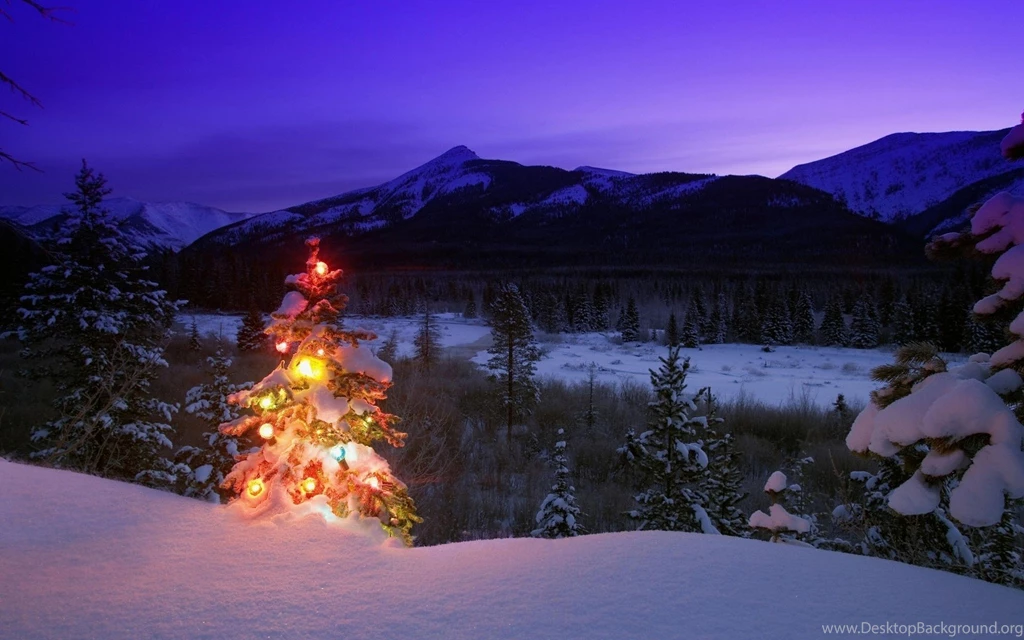 Christmas Trees Snow Landscapes Wallpapers