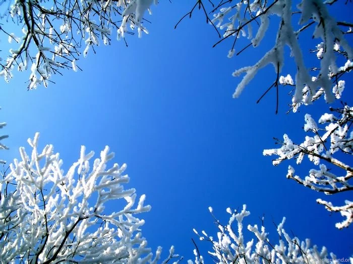 Snowy Winter Landscape & Winter Snow Photography18   Wallcoo.net