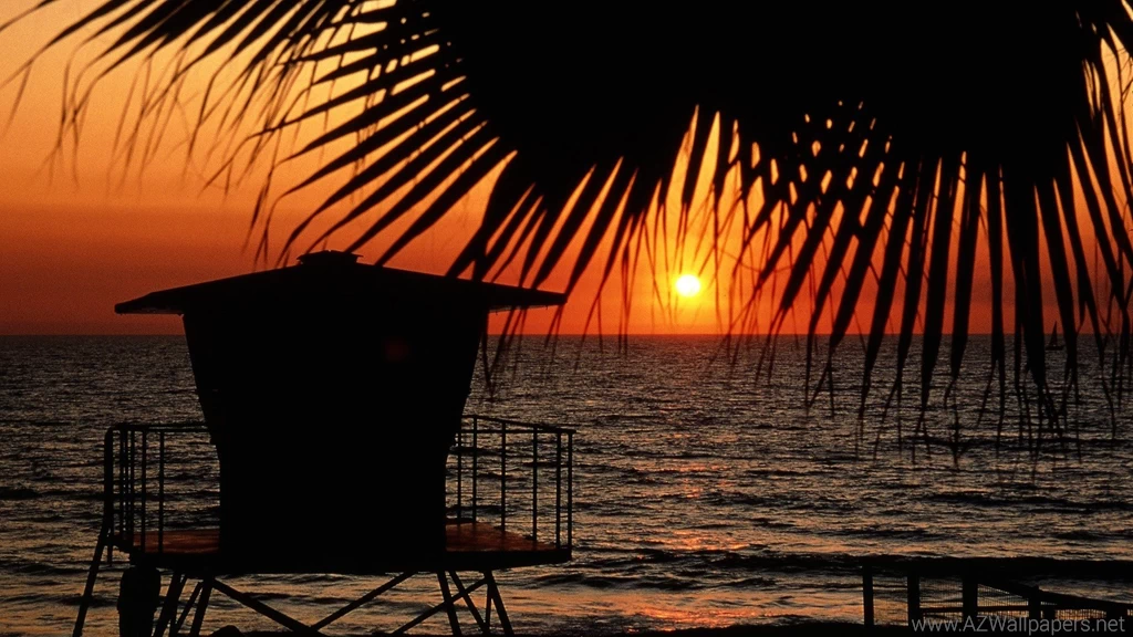 Florida Landscapes Palm Leaves Sea Silhouettes Wallpapers ...