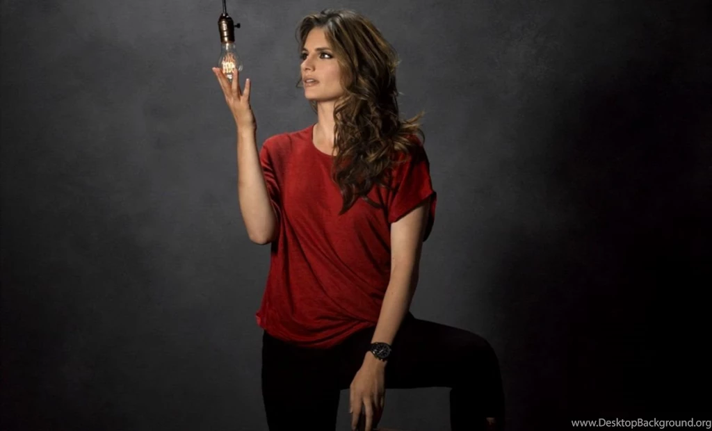 Stana Katic Wallpapers
