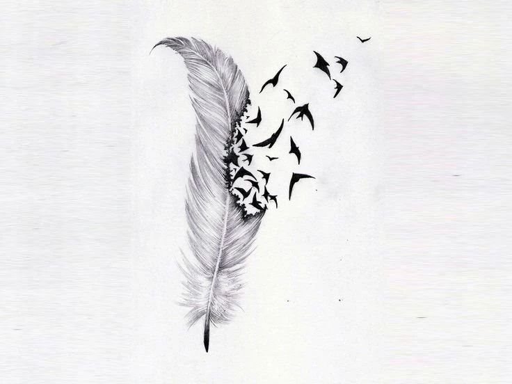 Free Designs Feather And Birds Flock Wallpapers 1280x960 Bird ...
