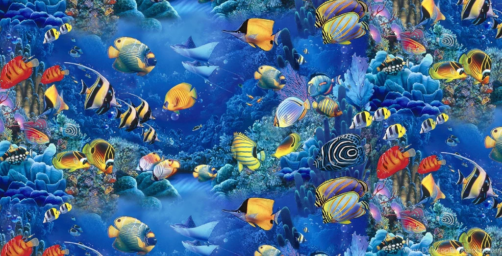 Colorful Fish Swimming Under The Sea Water Wallpapers For Free ...