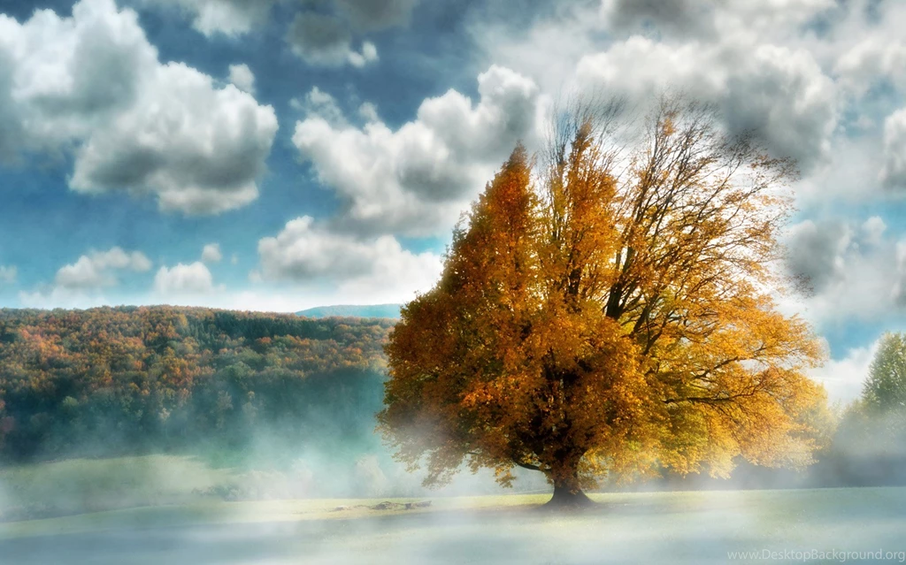 Nature Backgrounds, View, Amazing Landscape, Wallpapers Of Nature ...