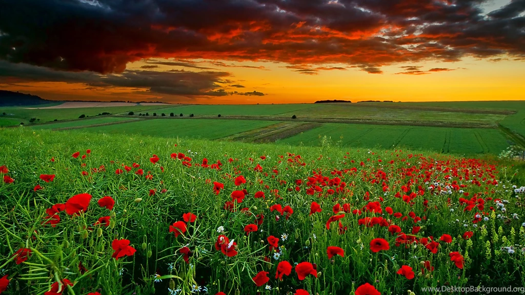 Wallpapers Landscape Love Most Beautiful Hd P 1920x1080
