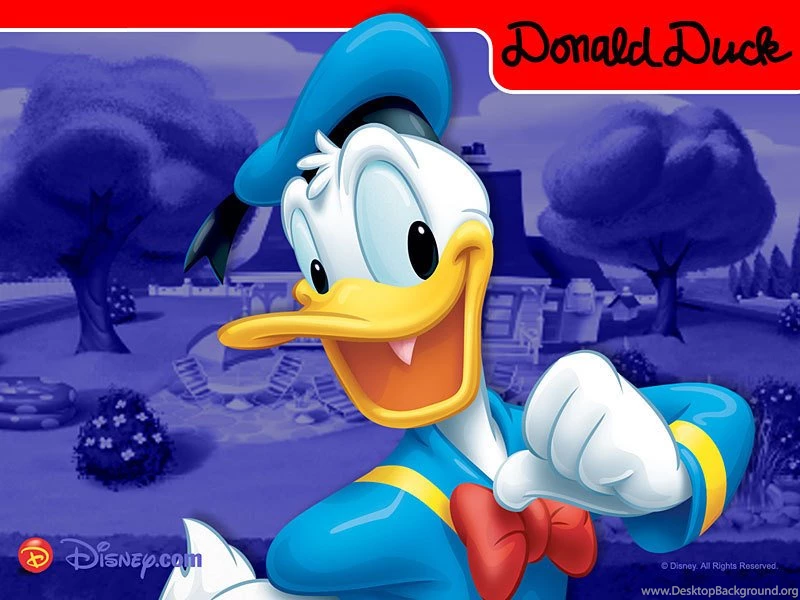 Donald Duck   Disney Wallpapers (7978737)   Fanpop
