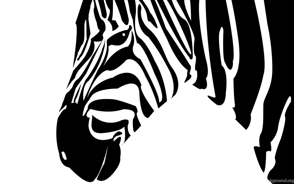 Zebra Computer Wallpapers Wallpapers Cave