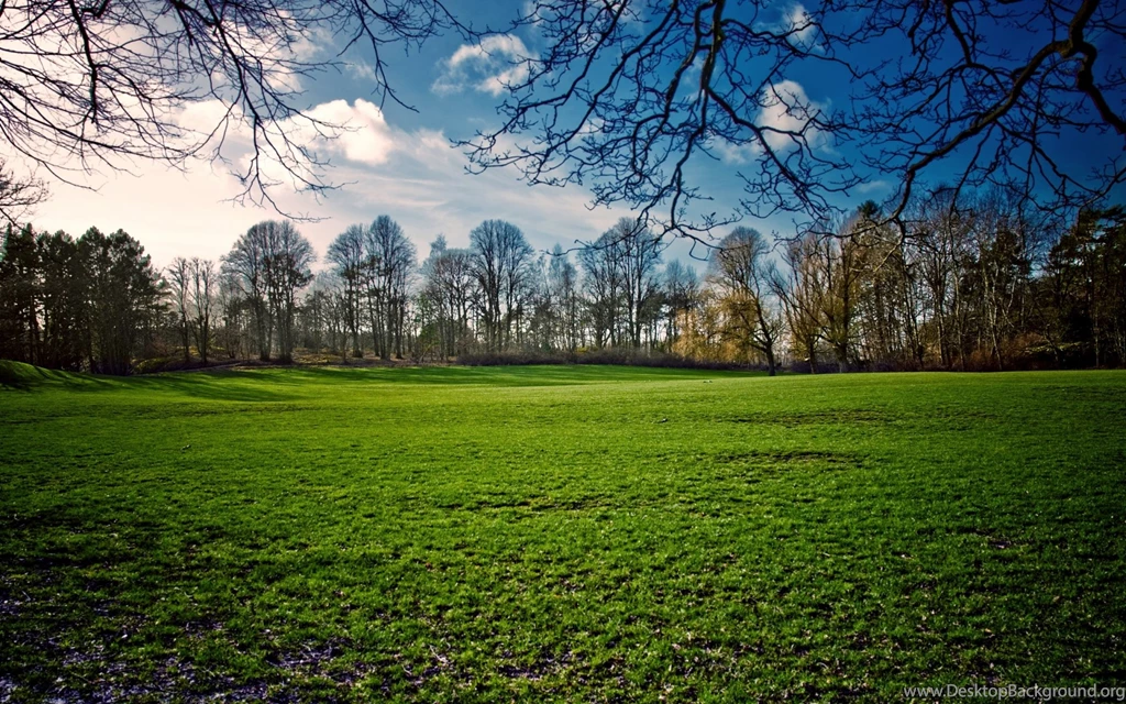 Spring Field 1920 X 1200 Widescreen Wallpapers