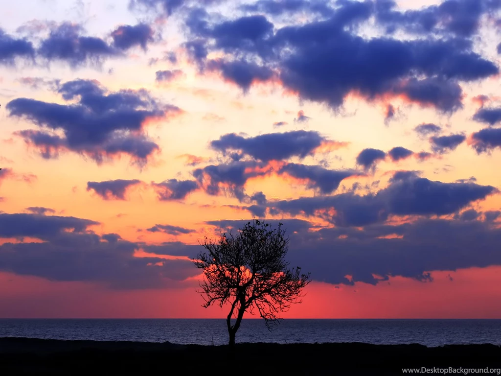 Desktop Wallpapers · Gallery · Nature · Nature Poems And Poetry ...