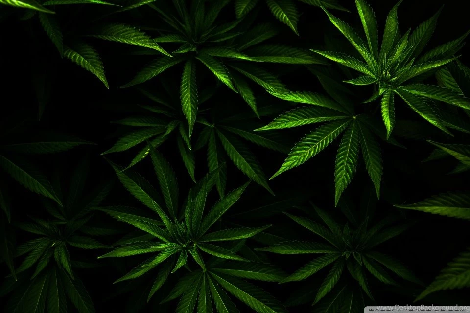 Weed HD Desktop Wallpapers : Widescreen : High Definition ...