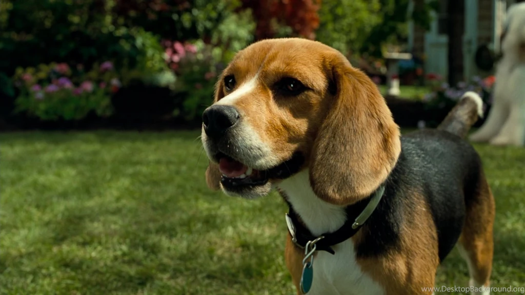 Trololo Blogg: Wallpapers Hd Blu Ray