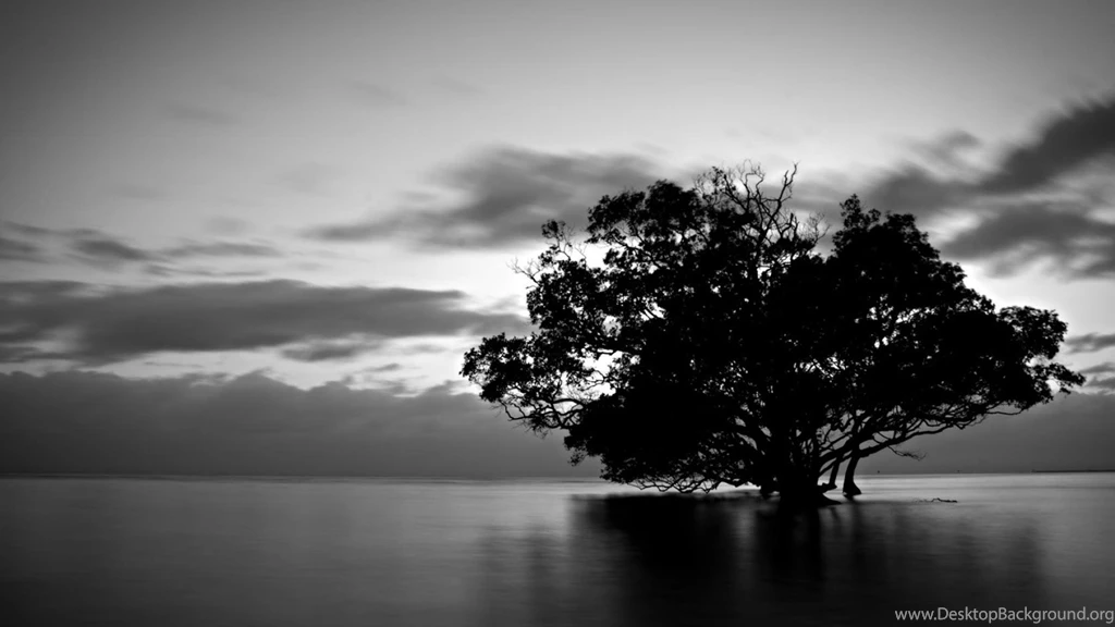 New Windows 8 HD Backgrounds