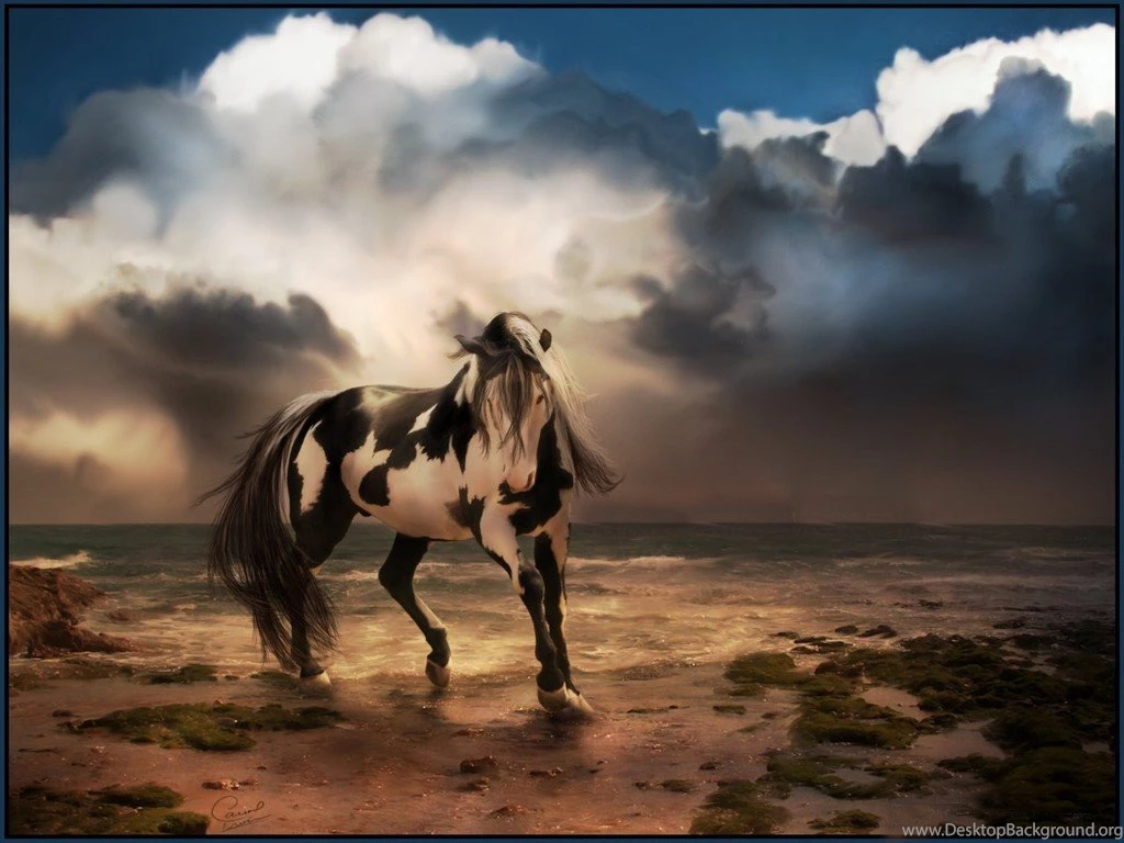 Wild Horse Free Desktop Backgrounds
