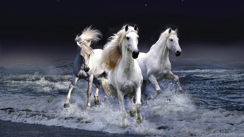 White Horse Wallpapers Wallpapers Cave