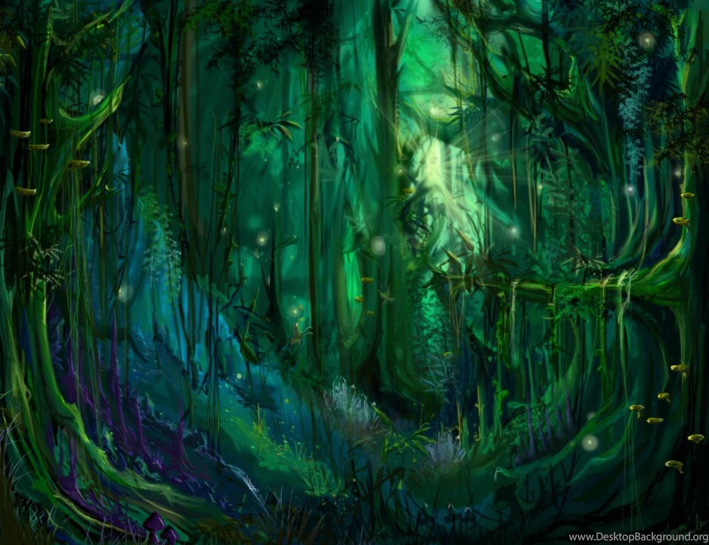 Enchanted Dark Forest Wallpapers