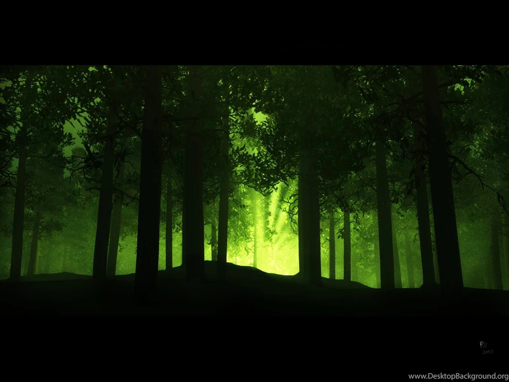 Enchanted Forest