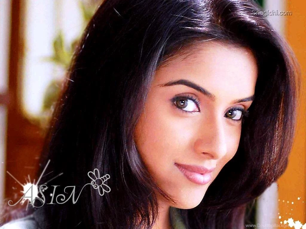 Plus Size Push Up Bra Hindi Actress Images Amisha patel wallpapers ...