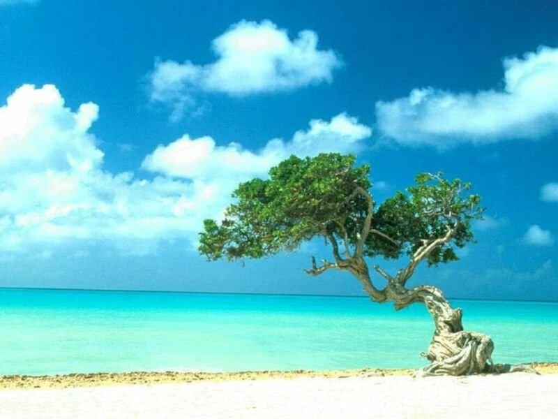 Tropical Beach Wallpapers 056, Free Desktop Wallpapers, Cool Wallpapers