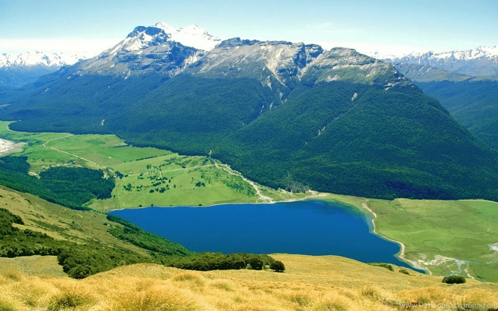 Popular Images