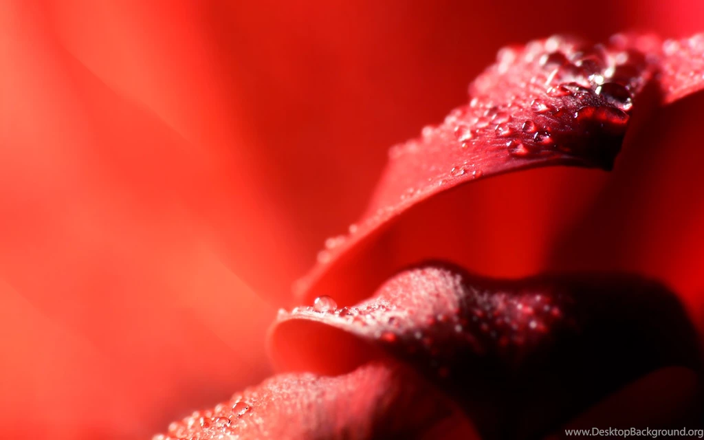 Red Abstract Wallpapers