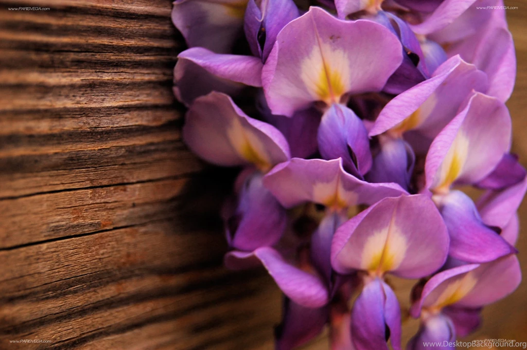 Free Desktop Backgrounds 72B