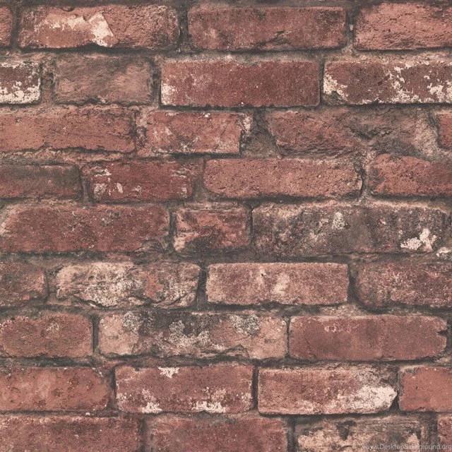 Shop Plastered Tuscan Brick Wallpapers Products On Houzz