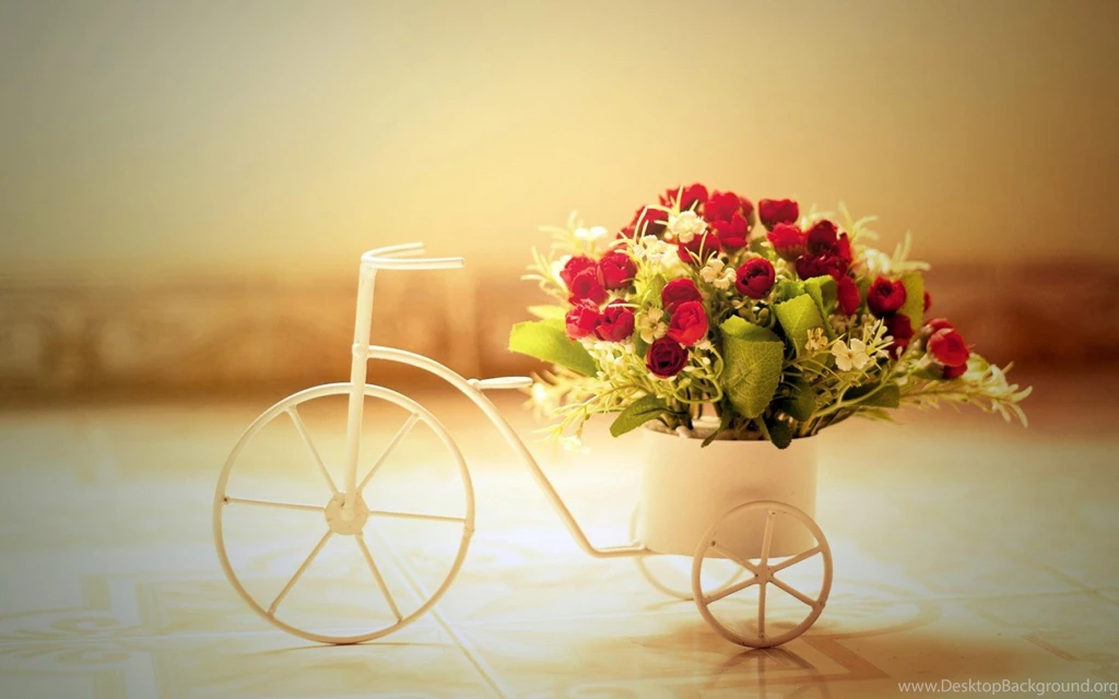 Wallpapers Desktop 25 Best Wallpapers Collection
