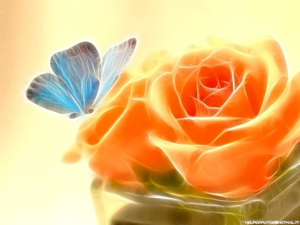 Latest Wallpapers For Mobile Wallpapers Zone