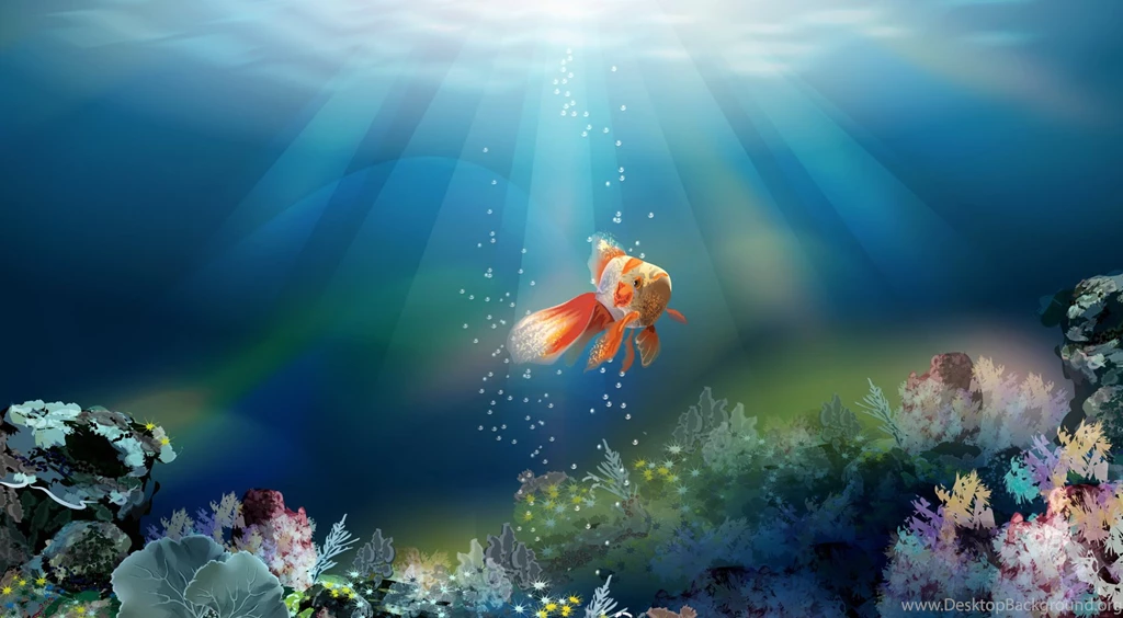 Gold Fish Hd Wallpapers 1080p