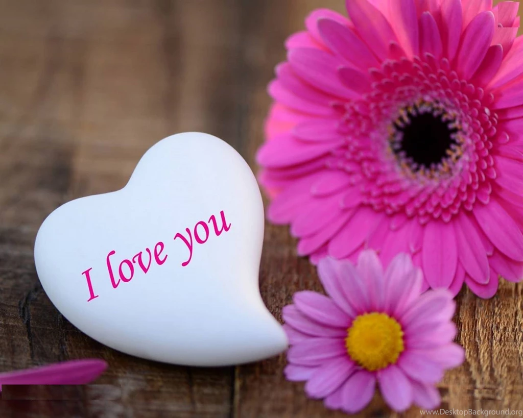 Love Heart HD Wallpapers HD Wallpapers