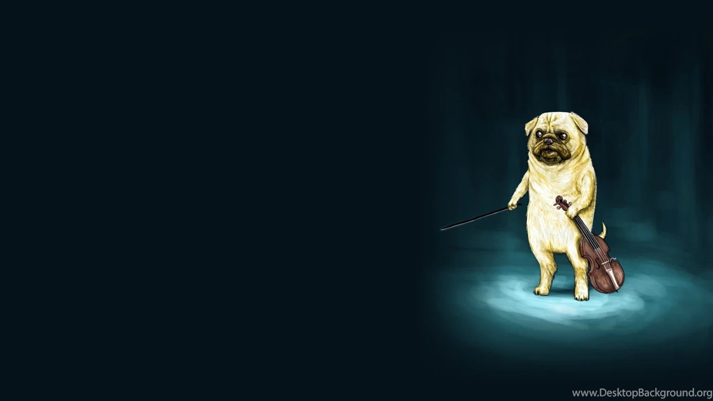Pug Playing The Violin Wallpapers