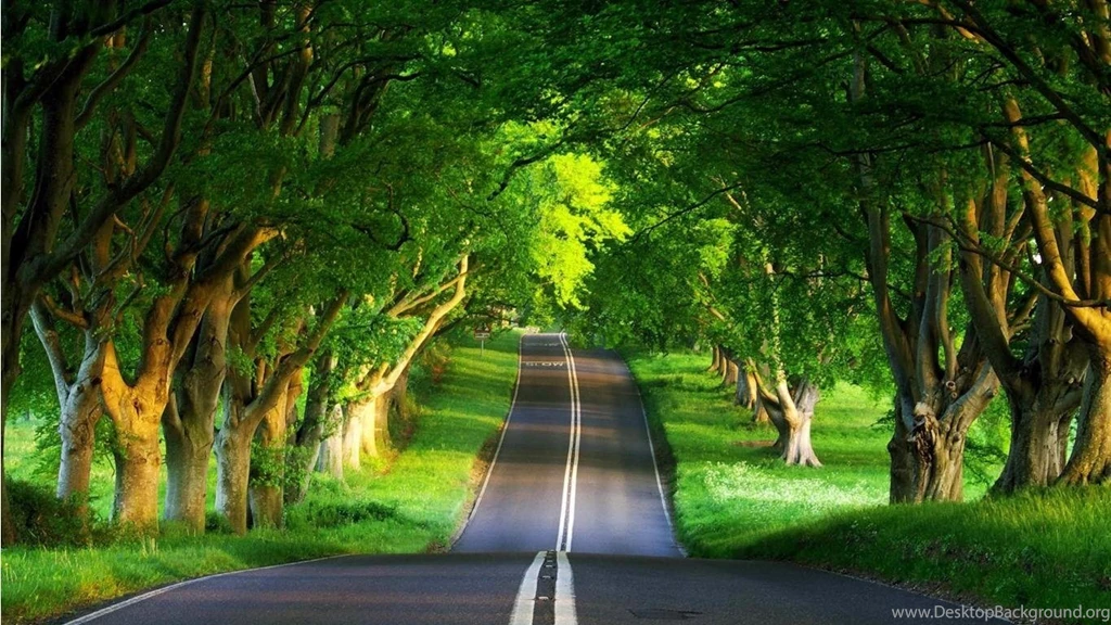 Description free download green road wallpaper desktop background .jpg