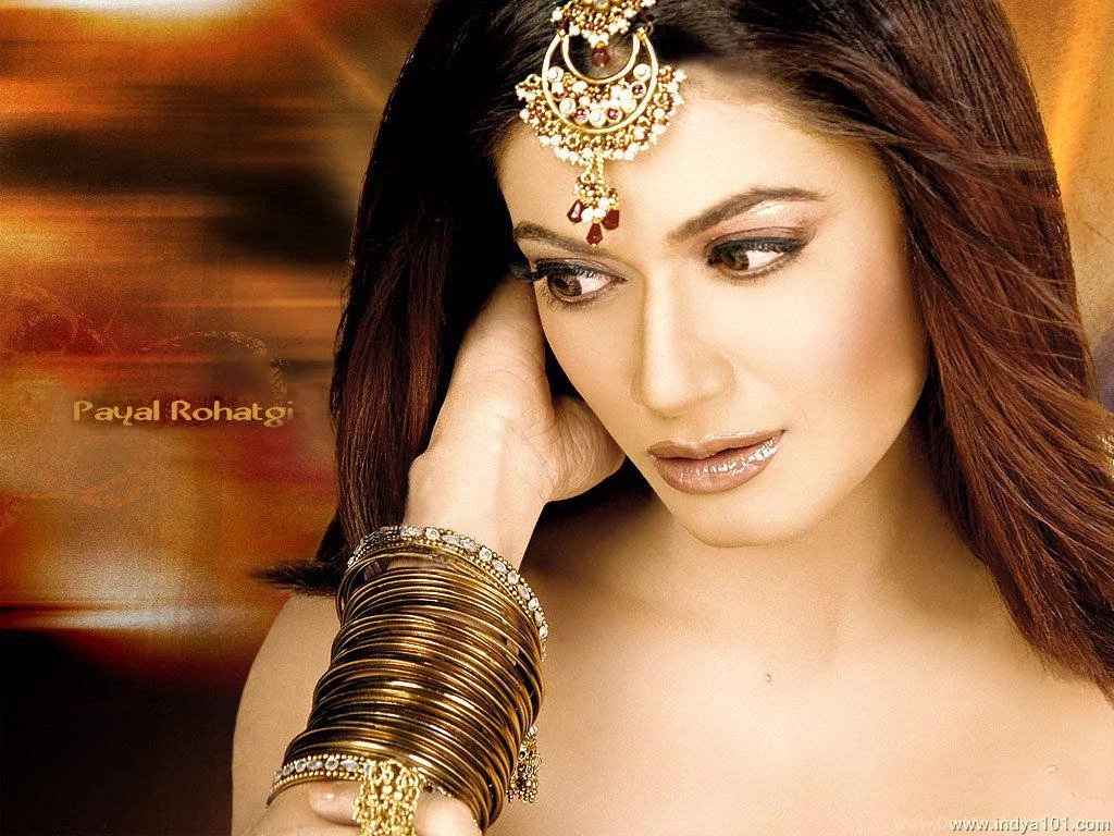 Payal Rohatgi Wallpapers (1024x768) : Indya101.com