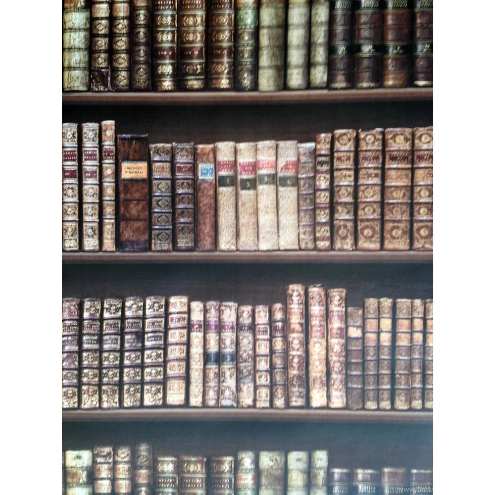 Direct Bookcase Classic Leather Books Library Mural Wallpapers 575208