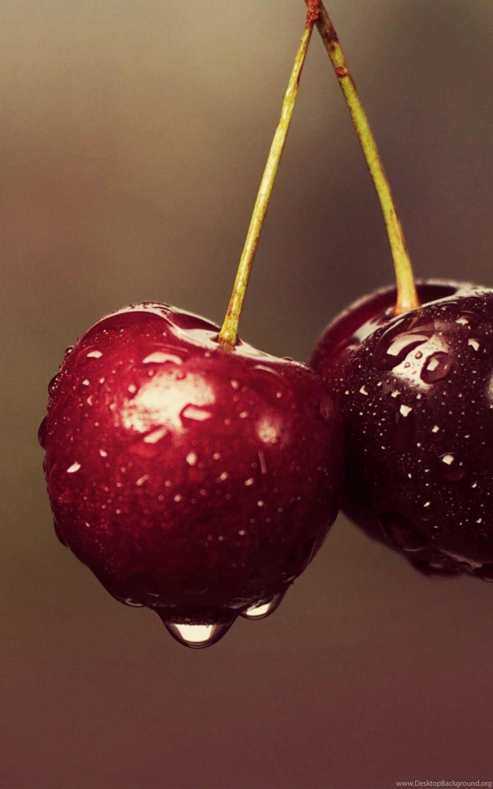 Red Cherry Wallpapers   Mobile Wallpapers