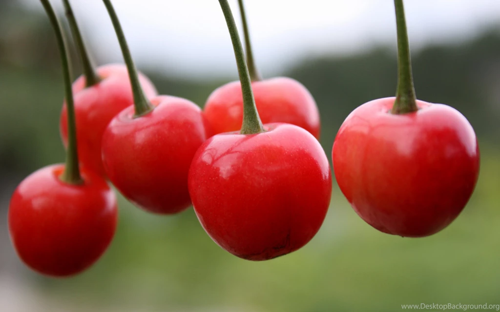 122 Cherry HD Wallpapers