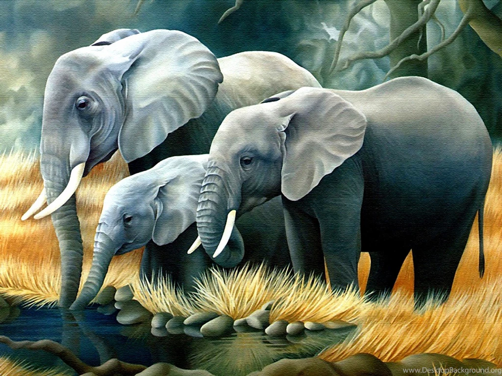 Elephant Wallpapers