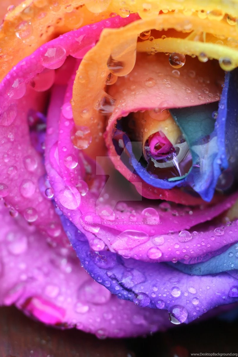 A Colourful Spiral IV By Gothic Dreamscapes On DeviantArt