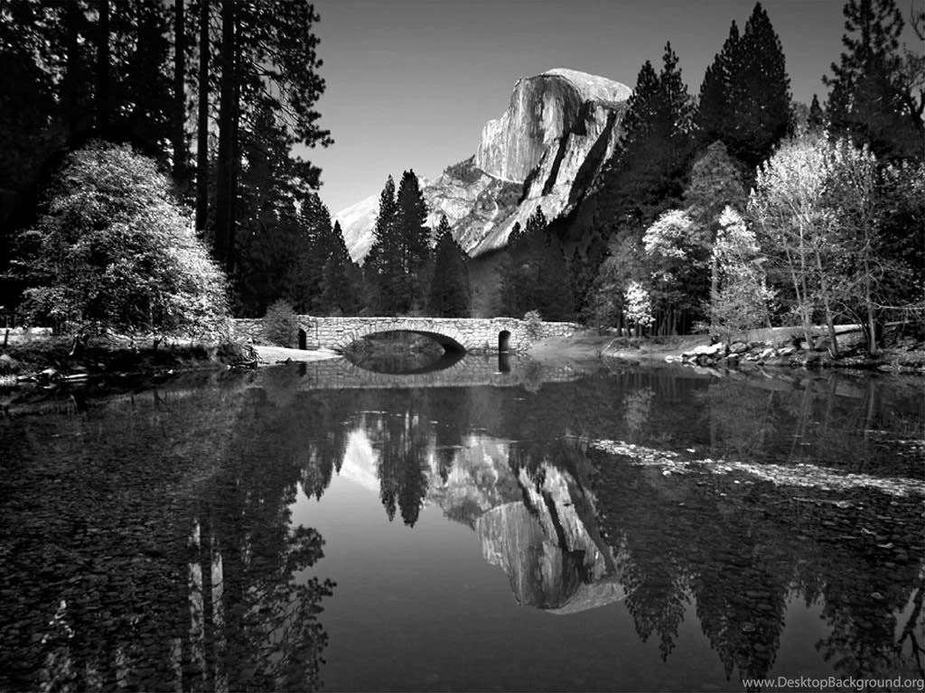 Ansel Adams   Lessons   TES