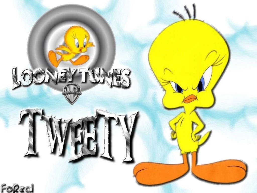 Free Tweety Bird Wallpapers Wallpapers Cave