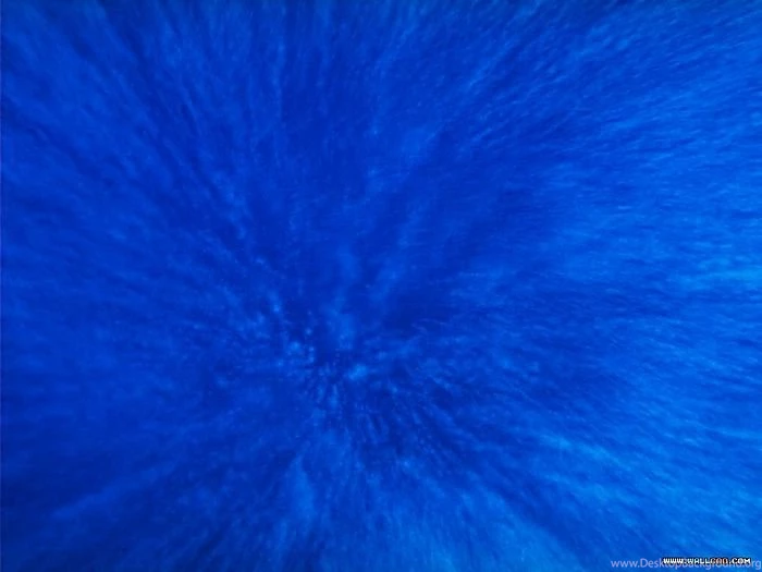 Blue Ocean Wallpapers & Ocean Animals Wallpaper2   Wallcoo.net