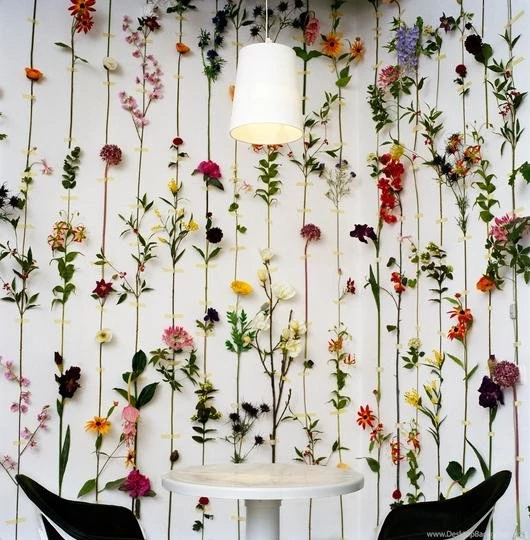 Modern Wallpapers Walls