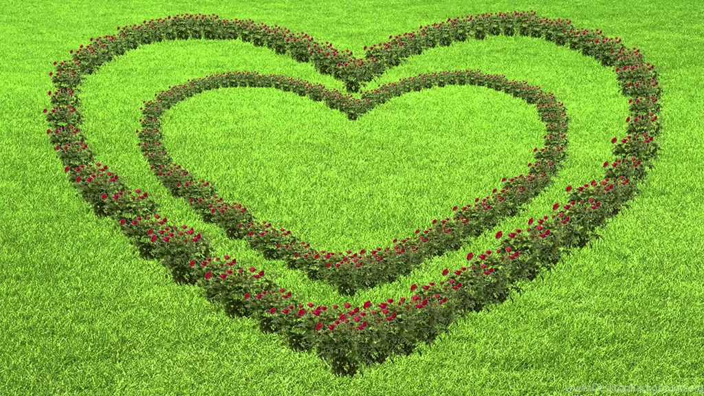 Moving Background Cool Love Roses Animation! YouTube