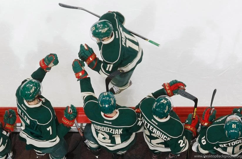 Frozen Moments Photo Gallery: Zach Parise 05/17/2013 Minnesota ...