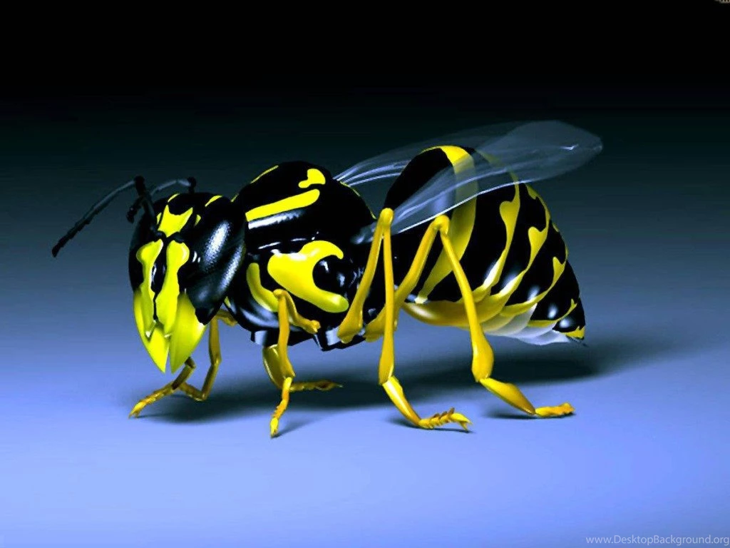 3d wallpaper animated