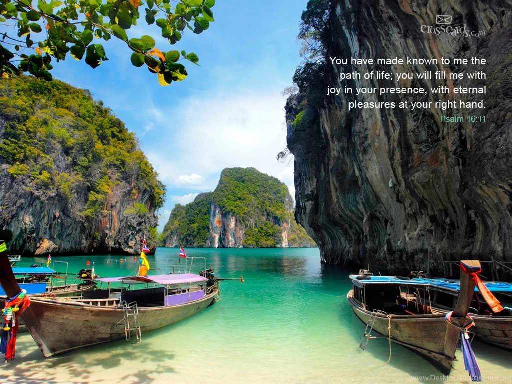 Wallpapers Download Mobile Wallpapers HD Fine