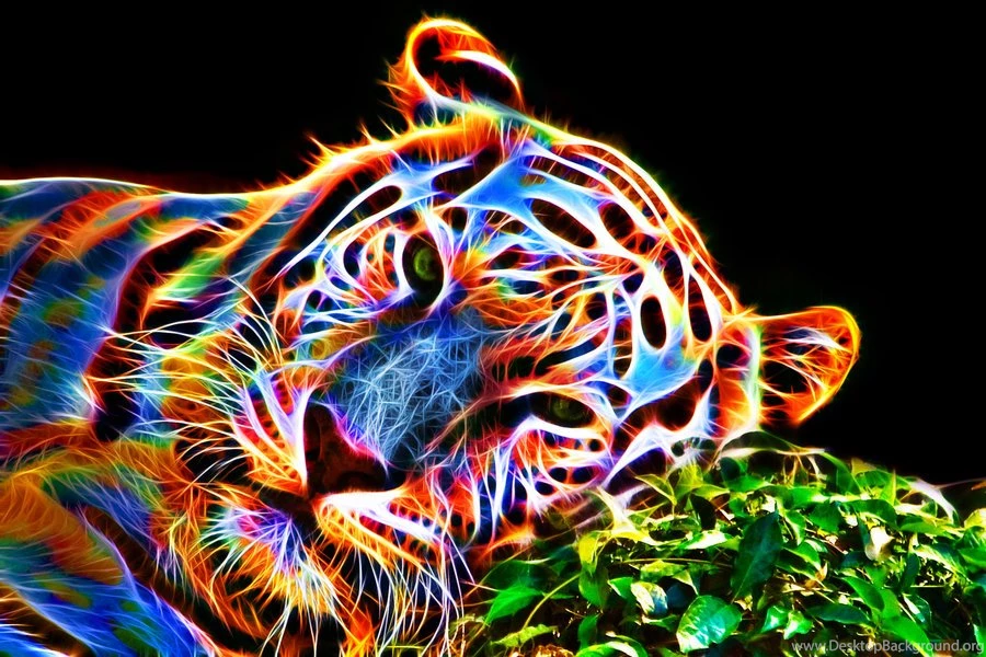 Colorful Images Collection (34+)