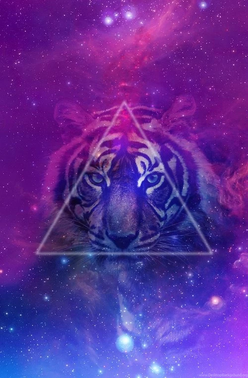 Animals, Background, Colours, Galaxy, Shapes, Space, Stars, Tiger ...