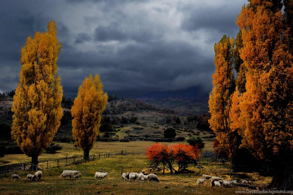 HD Nature Argentina Wallpapers New Post Has Been Published On ...